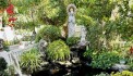 Bán Biệt thự Vườn Lài PHƯỜNG an phú đông Quận 12, 2 tầng, Đ. 10m, giá chỉ 2x tỷ